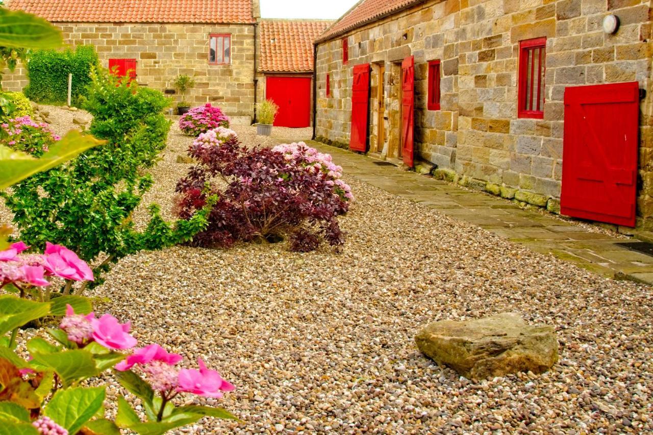 Sebright Cottage, Borrowby Farm Cottages Staithes Ngoại thất bức ảnh