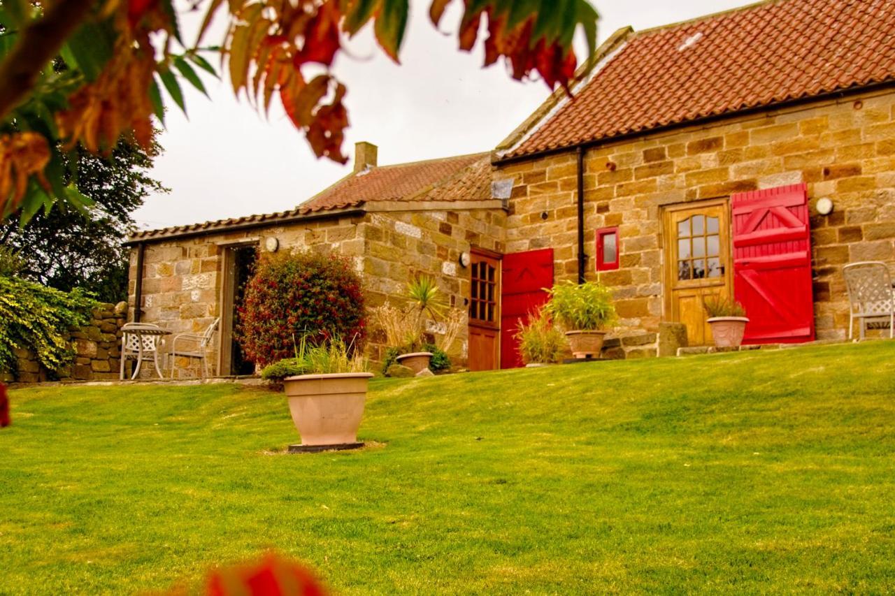 Sebright Cottage, Borrowby Farm Cottages Staithes Ngoại thất bức ảnh