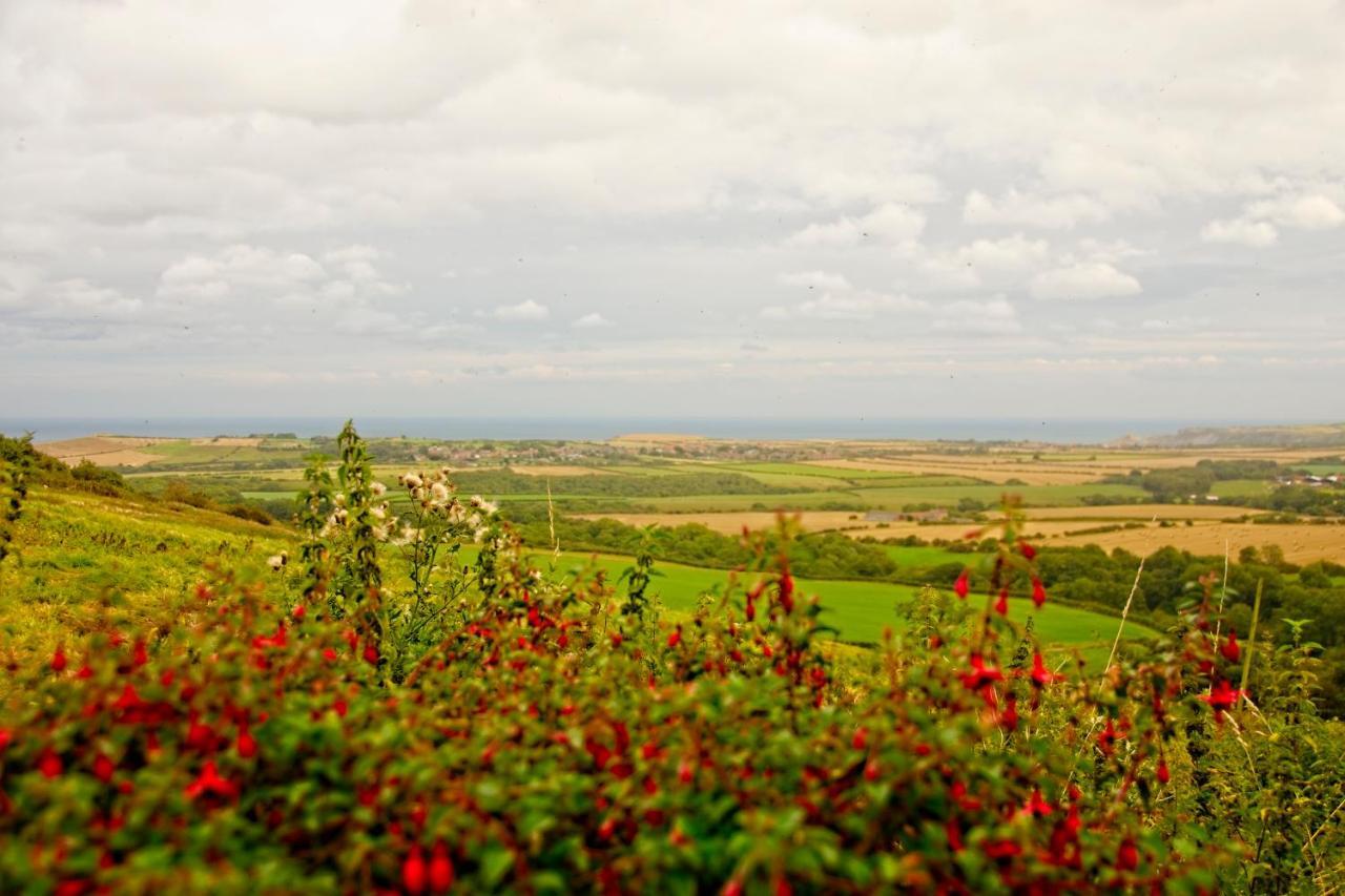 Sebright Cottage, Borrowby Farm Cottages Staithes Ngoại thất bức ảnh